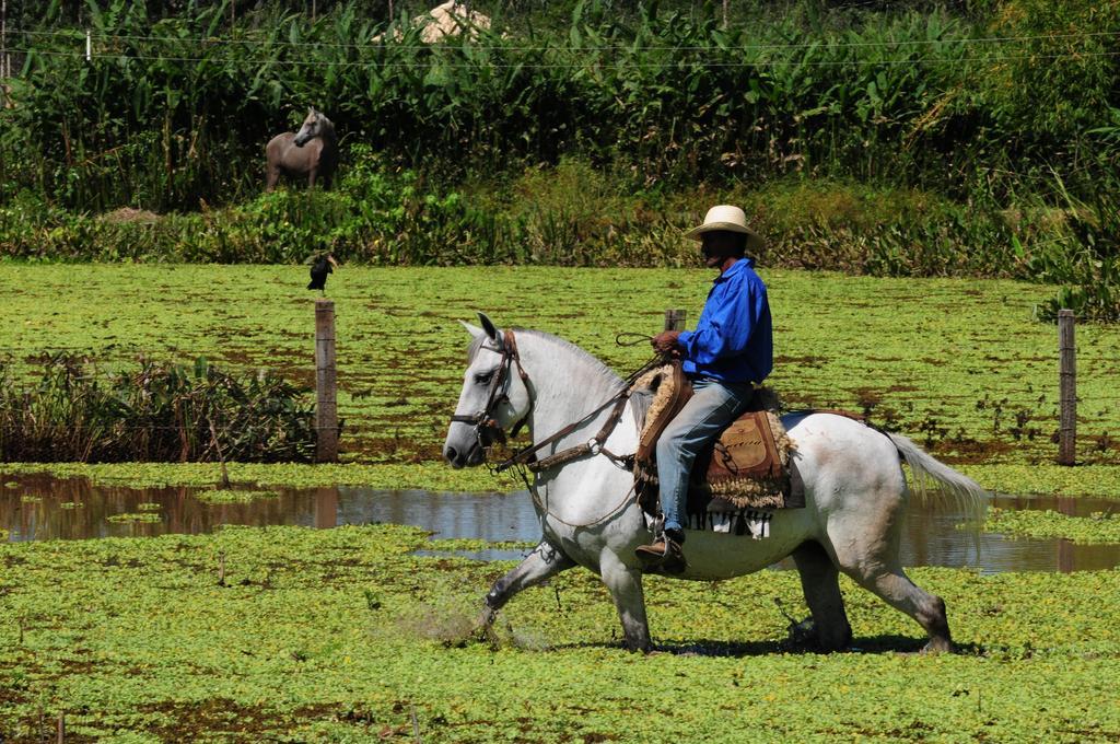 Pousada Rio Claro Poconé Kültér fotó